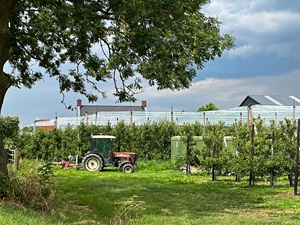 Vanaf 2028 21% btw op sierteeltproducten