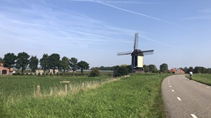 Vanaf 2028 21% btw op sierteeltproducten