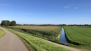 Vanaf 1 juni Subsidieregeling extensivering melkveehouderij