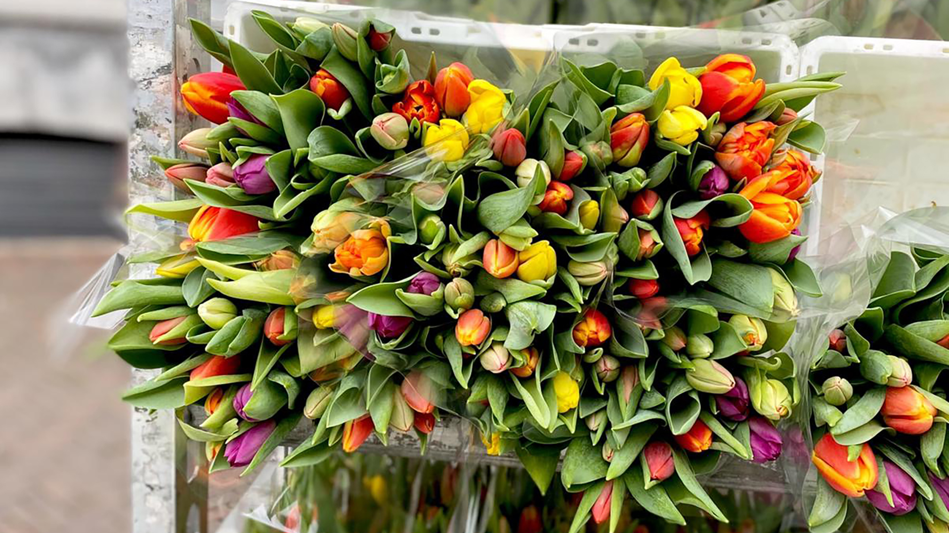 Bloemen voor nieuwe werknemer belast?
