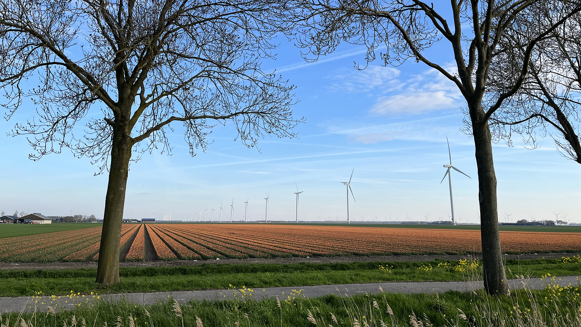 21% btw op sierteeltproducten vanaf 2028
