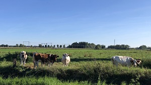Lagere WOZ-waarde voor PAS-melder