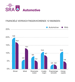 2020 in Zicht Grafiek Automotive