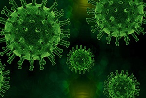 Virus