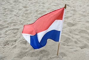 Vlag