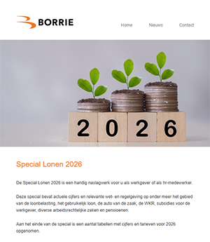 Voorbeeld Digitale Nieuwsbrief - Borrie