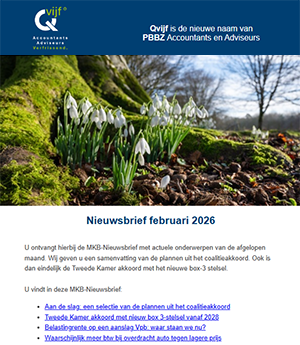 Voorbeeld Digitale Nieuwsbrief - Qvijf