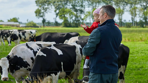 Friesland Campina