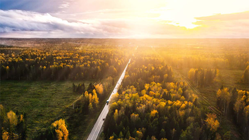 Van Mossel Automotive