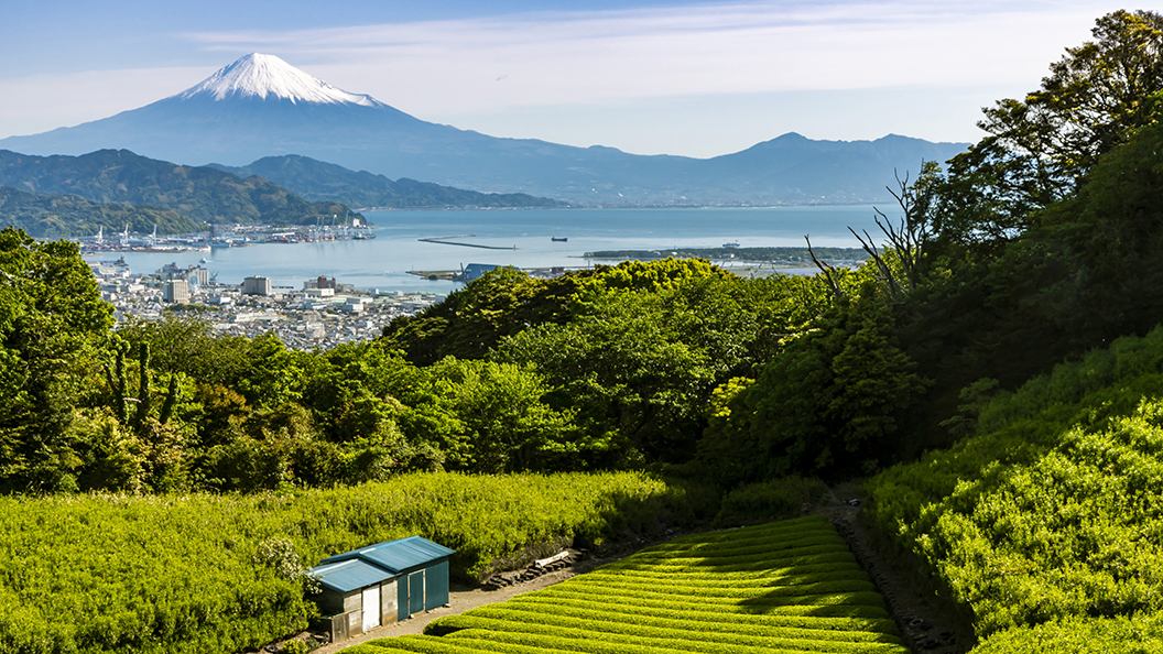 Inspiratiereis Japan