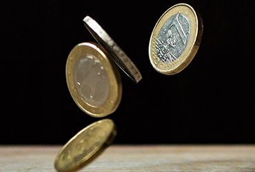 Euro