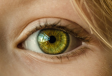 Visie