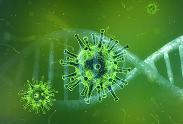 Coronavirus