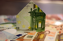 Euro huis