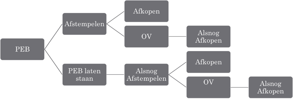 Schematische weergave mogelijkheden pensioen in eigen beheer